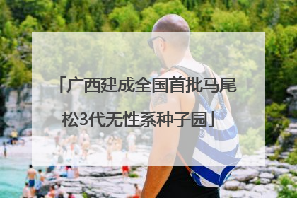 广西建成全国首批马尾松3代无性系种子园