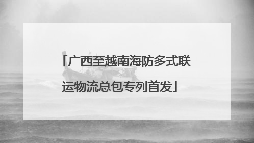 广西至越南海防多式联运物流总包专列首发