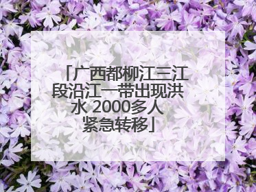 广西都柳江三江段沿江一带出现洪水 2000多人紧急转移