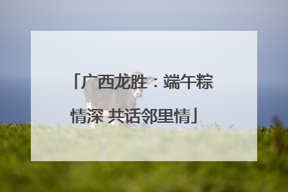 广西龙胜：端午粽情深 共话邻里情