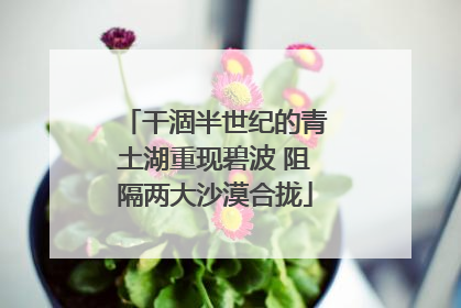 干涸半世纪的青土湖重现碧波 阻隔两大沙漠合拢