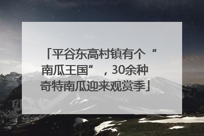 平谷东高村镇有个“南瓜王国”，30余种奇特南瓜迎来观赏季