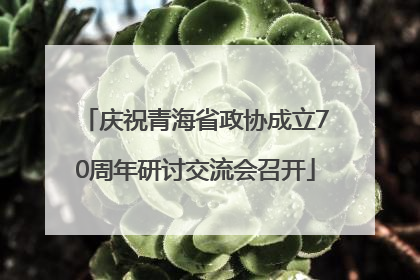 庆祝青海省政协成立70周年研讨交流会召开