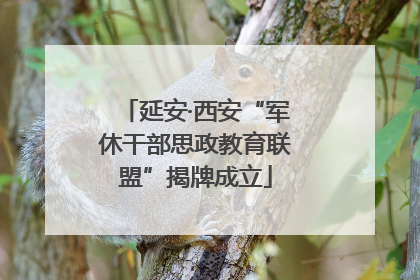 延安·西安“军休干部思政教育联盟”揭牌成立
