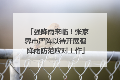 强降雨来临！张家界市严阵以待开展强降雨防范应对工作