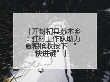开封杞县苏木乡：驻村工作队助力夏粮抢收按下 “快进键”
