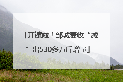 开镰啦！邹城麦收“减”出530多万斤增量