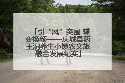 引“凤”突围 蝶变换颜——庆城县药王洞养生小镇农文旅融合发展纪实
