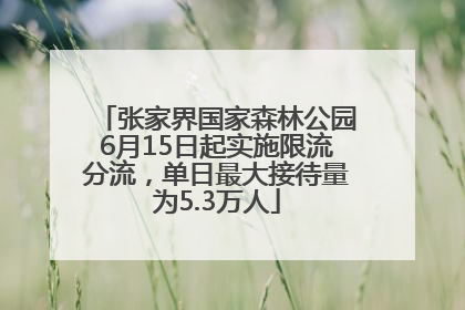 张家界国家森林公园6月15日起实施限流分流，单日最大接待量为5.3万人