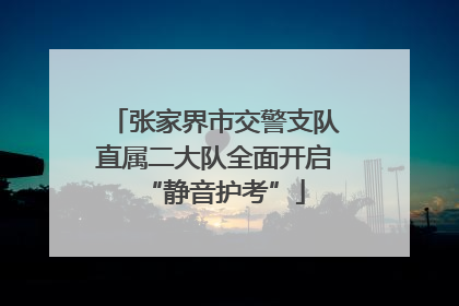 张家界市交警支队直属二大队全面开启“静音护考”