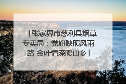 张家界市慈利县烟草专卖局：党旗映照风雨路 金叶情深暖山乡