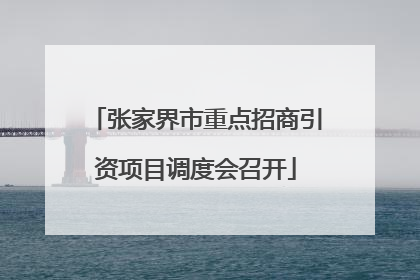 张家界市重点招商引资项目调度会召开