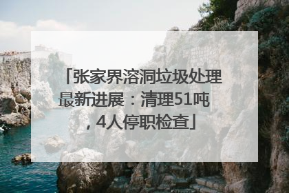 张家界溶洞垃圾处理最新进展：清理51吨，4人停职检查