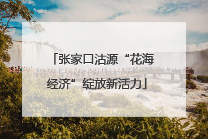 张家口沽源“花海经济”绽放新活力