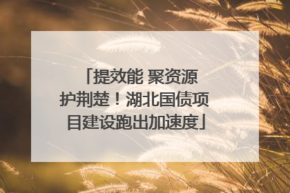 提效能 聚资源 护荆楚！湖北国债项目建设跑出加速度