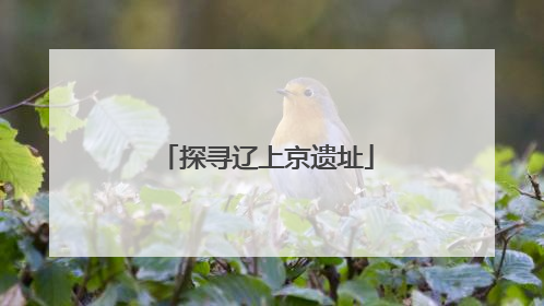 探寻辽上京遗址