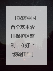 探访中国首个基本农田保护区监利：守好“饭碗田”