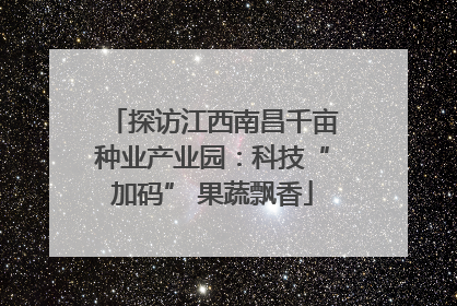探访江西南昌千亩种业产业园：科技“加码” 果蔬飘香