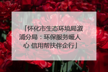 怀化市生态环境局溆浦分局：环保服务暖人心 信用帮扶伴企行
