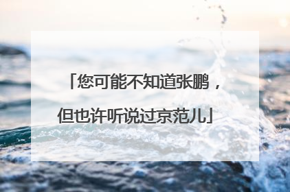 您可能不知道张鹏，但也许听说过京范儿