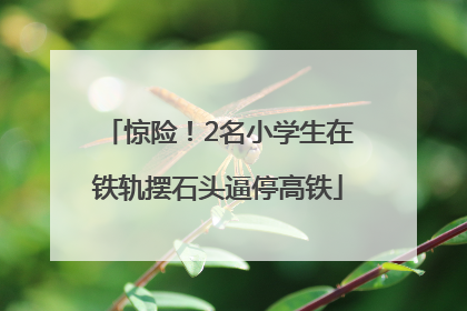 惊险！2名小学生在铁轨摆石头逼停高铁
