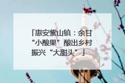 惠安紫山镇：余甘“小酸果”酿出乡村振兴“大甜头”
