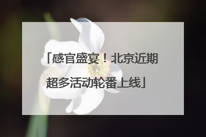 感官盛宴！北京近期超多活动轮番上线
