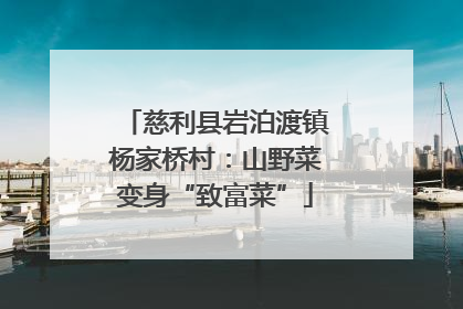 慈利县岩泊渡镇杨家桥村：山野菜变身“致富菜”