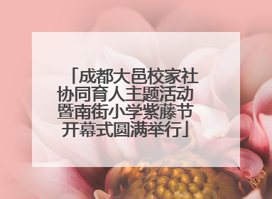 成都大邑校家社协同育人主题活动暨南街小学紫藤节开幕式圆满举行