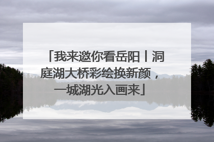 我来邀你看岳阳丨洞庭湖大桥彩绘换新颜，一城湖光入画来
