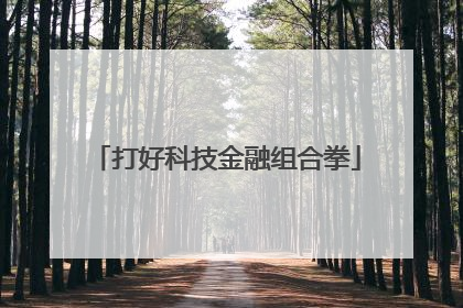 打好科技金融组合拳