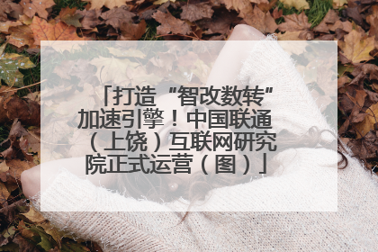 打造“智改数转”加速引擎！中国联通（上饶）互联网研究院正式运营（图）