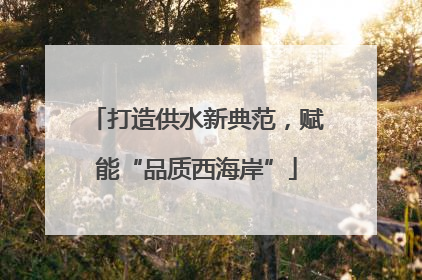 打造供水新典范，赋能“品质西海岸”