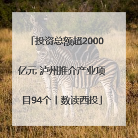 投资总额超2000亿元 泸州推介产业项目94个丨数读西投