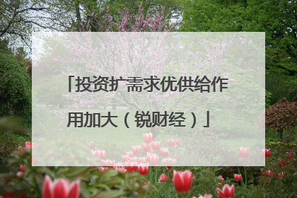 投资扩需求优供给作用加大（锐财经）