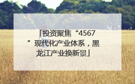 投资聚焦“4567”现代化产业体系，黑龙江产业换新景