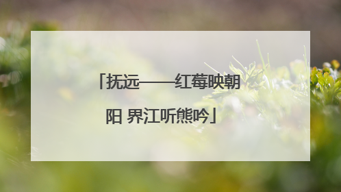 抚远——红莓映朝阳 界江听熊吟