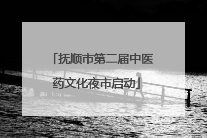 抚顺市第二届中医药文化夜市启动