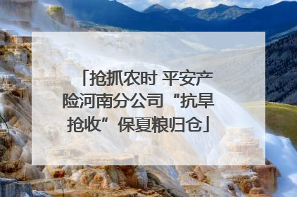 抢抓农时 平安产险河南分公司“抗旱抢收”保夏粮归仓