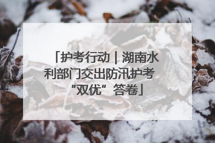 护考行动｜湖南水利部门交出防汛护考“双优”答卷