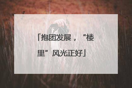 抱团发展，“楼里”风光正好