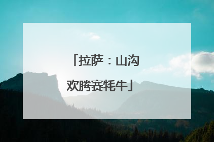 拉萨：山沟欢腾赛牦牛