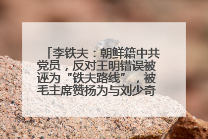 李铁夫：朝鲜籍中共党员，反对王明错误被诬为“铁夫路线”，被毛主席赞扬为与刘少奇并列的正确路线代表