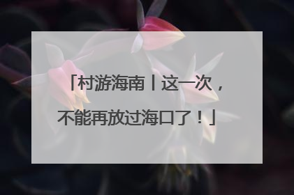 村游海南丨这一次，不能再放过海口了！