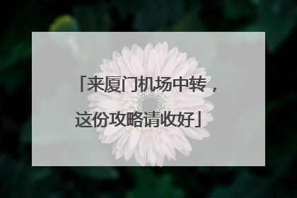 来厦门机场中转，这份攻略请收好