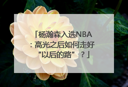 杨瀚森入选NBA：高光之后如何走好“以后的路”？