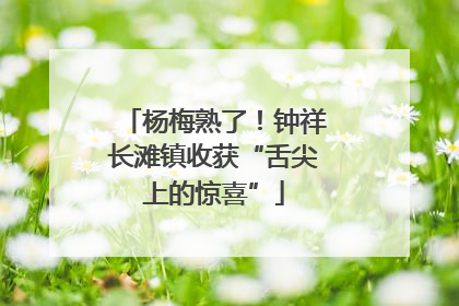 杨梅熟了！钟祥长滩镇收获“舌尖上的惊喜”