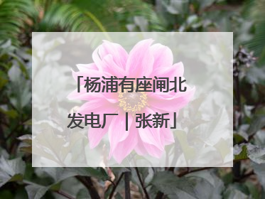 杨浦有座闸北发电厂｜张新