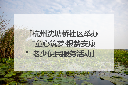 杭州沈塘桥社区举办“童心筑梦·银龄安康”老少便民服务活动