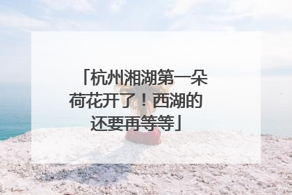 杭州湘湖第一朵荷花开了！西湖的还要再等等
